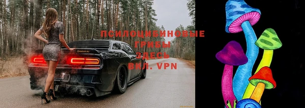 скорость Алексин